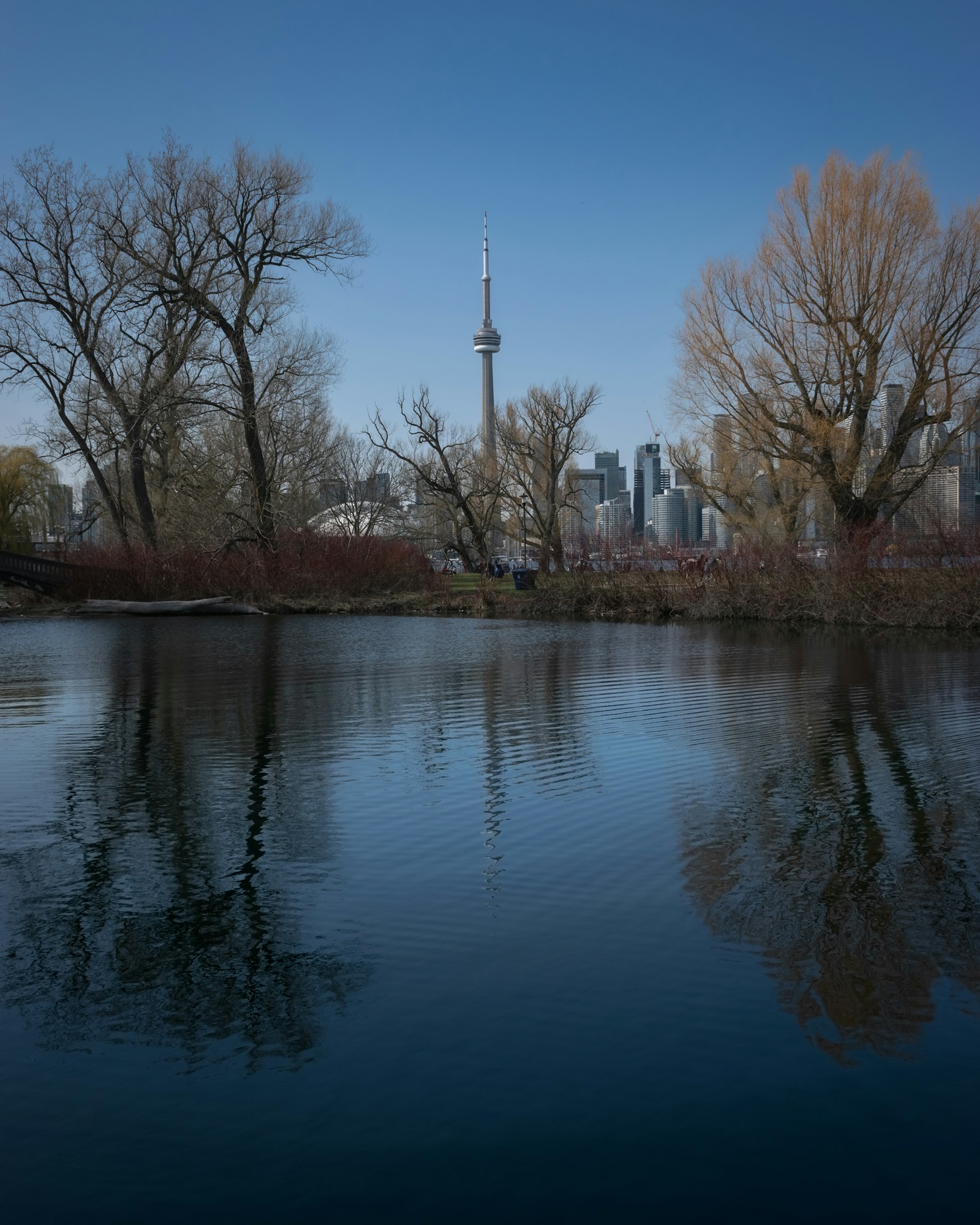 Toronto waterfront skyline in daytime